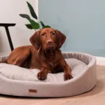 Amiplay Oval Hundeseng | Color