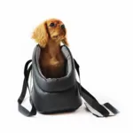 KW Skai Hundetaske