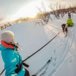 Non-Stop dogwear Touring Bungee Leash | OUTLET