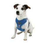 Ollipet Duomm Air mesh Step-In sele | OUTLET