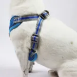 Ollipet Duomm Air mesh Step-In sele | OUTLET