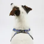Ollipet Duomm Air mesh Step-In sele | OUTLET