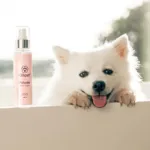 Ollipet Pelsolie | 100ml