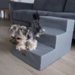 Ollipet Up Stairs | Hundetrappe