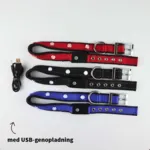 SOLID LED-halsbånd OUTLET