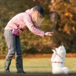 Ollipet For Wagging Tails | Godbidstaske m. Magnetluk