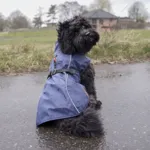 Trixie Be Nordic Husum regnfrakke