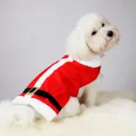 Julemandstøj til hund
