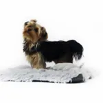 Ollipet Soft Cloud Madras 2in1 | OUTLET