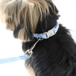 Ollipet Macaron Hundesnor