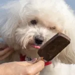 Trixie Dentafun hundeis | Chicken Pops