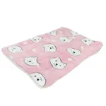 Ollipet Wellness Madras