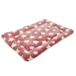 Ollipet Wellness Madras