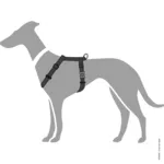 Hunter London Vario Rapid Hundesele