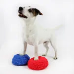 Ollipet DogFit Air Serie - Balancepude