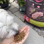 CORE Adult Low Fat - Small Breed | Tørfoder