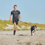 Non-Stop Dogwear Bungee Leash 2.0 | OUTLET