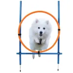 Ollipet DogFit Agility | Hurdle Jump Ring