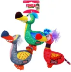 KONG Ballistic Vibes Birds