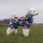 Ollipet Ponjo Regndragt | OUTLET