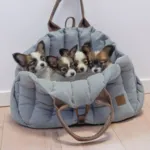 Ollipet Paris City Bag 3i1