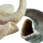 NATURBEN Lammehorn