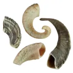 NATURBEN Lammehorn
