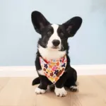Ollipet City Lux Bandana | Sweet Flowers | OUTLET