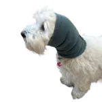 Ollipet Hoodie For Dog Ears