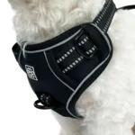Ollipet Adventure Hundesele Sort str. XL, OUTLET