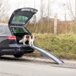 Trixie Sammenklappelig Rampe
