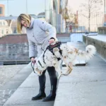 Non-Stop Dogwear Rock Harness Long | OUTLET
