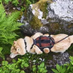 Non-Stop Dogwear Rock Harness Long | OUTLET