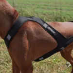 Ollipet Fast Runner Træksele