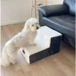 Ollipet Plystrappe