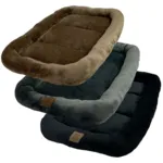 Ollipet Kaya Wellness Madras