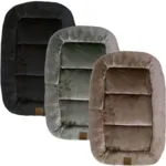 Ollipet Kaya Wellness Madras