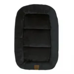 Ollipet Kaya Wellness Madras