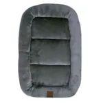 Ollipet Kaya Wellness Madras
