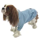 Ollipet Buddy Hoodie | Lyseblå