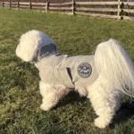 Ollipet Outdoor Windbreaker