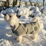 Ollipet Outdoor Windbreaker