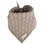 Ollipet Flora Bandana