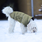 Ollipet Thunder Bay Dynejakke | OUTLET