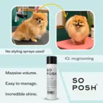 So Posh Professional I'm So Puffy Shampoo