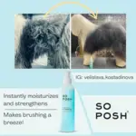 So Posh I'm Tangle Free Filtspray