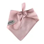 Ollipet "Big brother/sister" Bandana