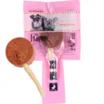 Companion Lollipop  |  And