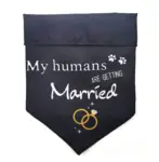 Ollipet "Getting married" Bandana | OUTLET