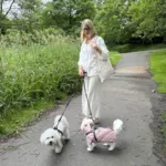 Ollipet Aqua Explorer De Luxe | Shopping Net